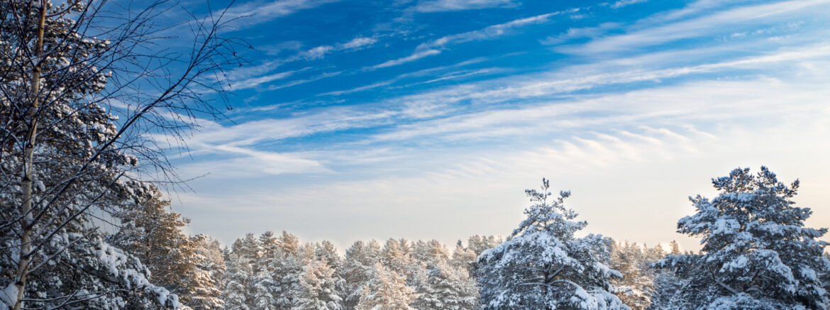 Winter Extreme Ultra Trail