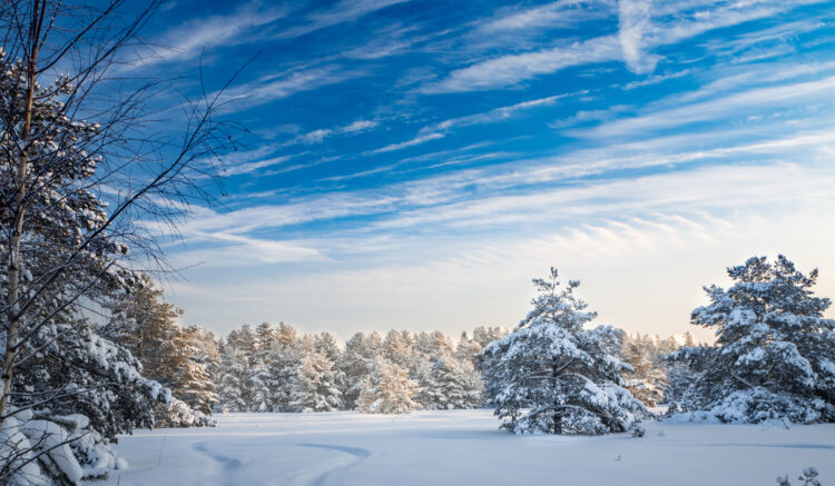 Winter Extreme Ultra Trail