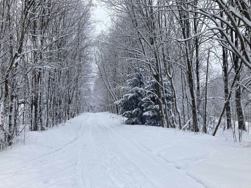 Winter Extreme Ultra Trail
