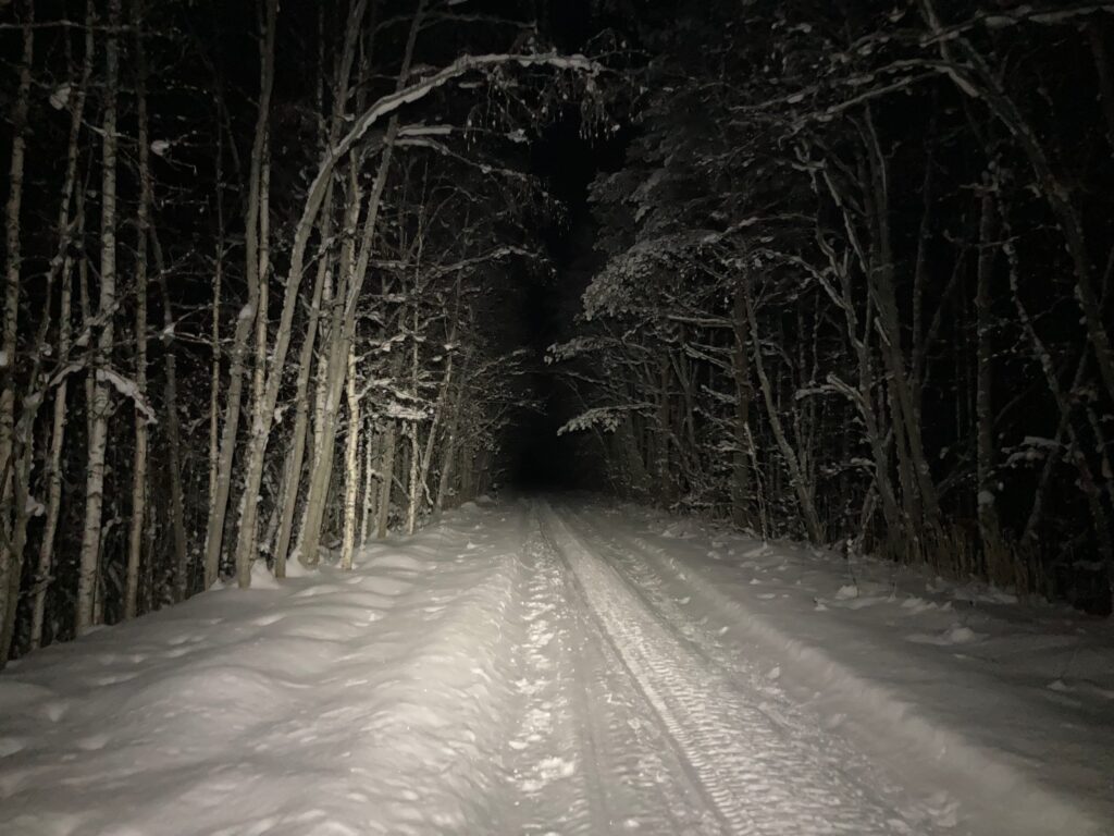 Ночная дорога