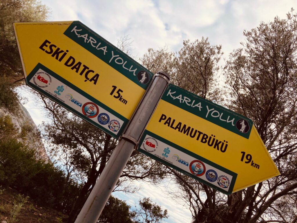 Датча